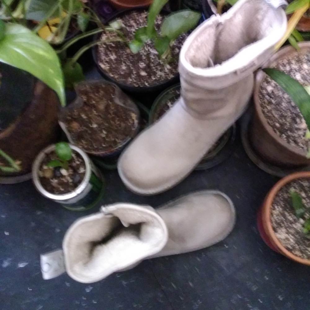 Muk Luks Women's Beige Winter Boots - Picture 7 of 15